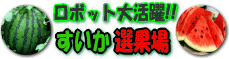 �������I�ʏ�