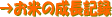 �����Ă̐����L�^��