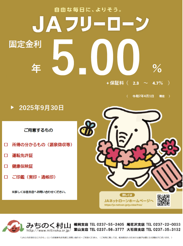 フリーローン チラシ