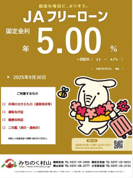 フリーローン チラシ