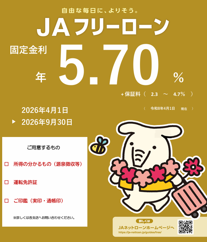 フリーローン チラシ