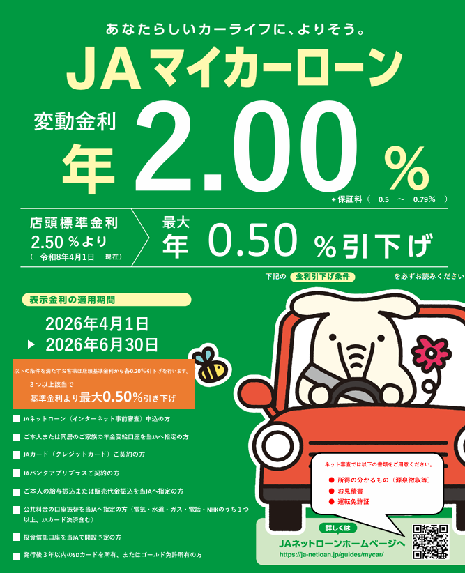 マイカーローン チラシ