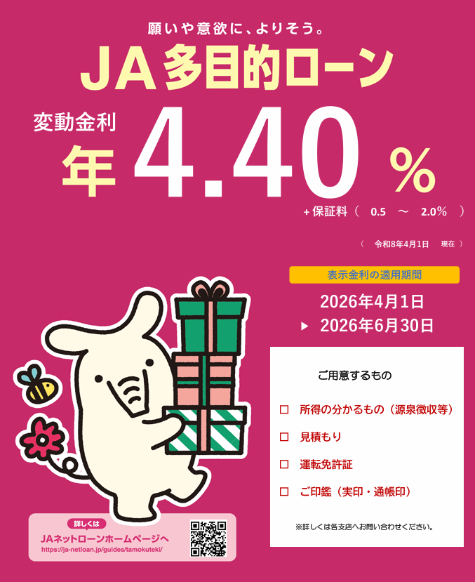 多目的ローン チラシ