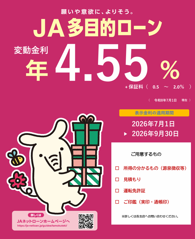 多目的ローン チラシ