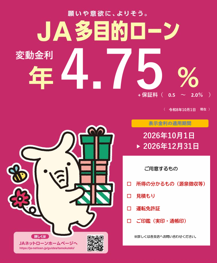 多目的ローン チラシ